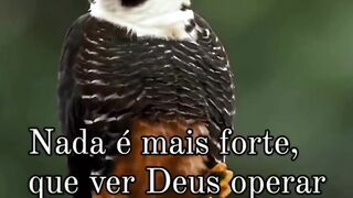 #5Bom dia  Deus é fiel
