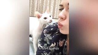 Funniest Animals video