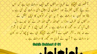 Sahih Bukhari # 61