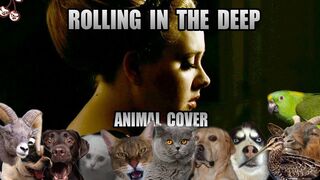 Adele - Rolling In The Deep (Animal Cover)