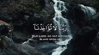 ????️احمد النفیس✨