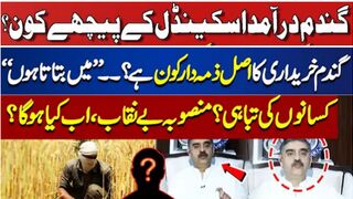wheat scandal pakistan | wheat scandal #wheat