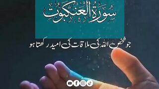 جو شخص اللّٰہ تعالیٰ کی ملاقات کی امید رکھتا ہو