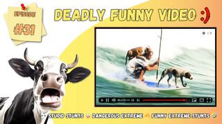 Stupid stunts / Dangerous extreme / Funny extreme stunts / Episode 31