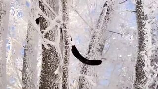 雪花