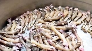 Phajja Siri Paye | Street Food