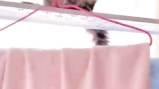 Talented cat