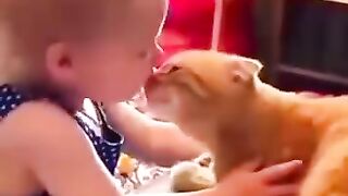 Cat and baby love