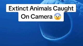 Extinct Animals Caught On Camera