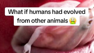 Fun Facts