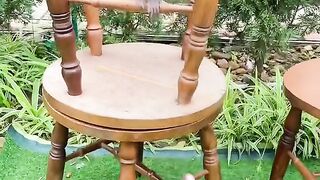 Little funny monkeys
