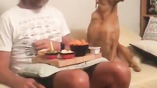When you are mad at him, but still hungry... The dog is a better actor than the actors of the new generation.