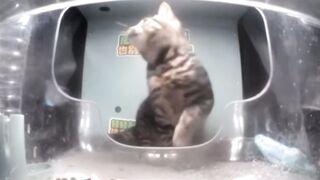 Don't touch my food！！！