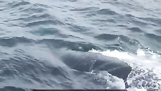 Man rides whale for all the right reasons