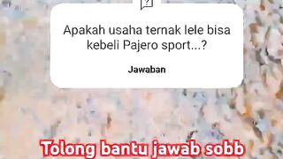Apakah usaha ternak lele bisa kebeli Pajero sport❓Tolong bantu jawab sobb