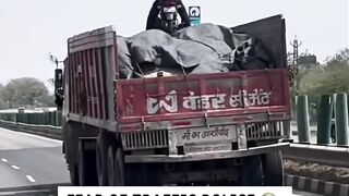 Fear of Traffic Police ???????? RB