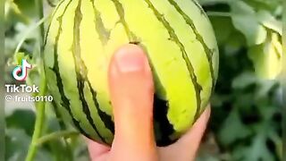 এই ফলটি খেতে খুব সুন্দর