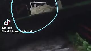 THE MOST SCARY and FUNNIEST VIDEO EVER