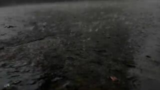 ????✨High_Rainy_whatsApp????_status_video????.