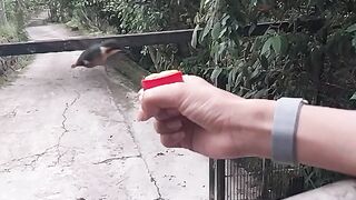 Parque colibrí