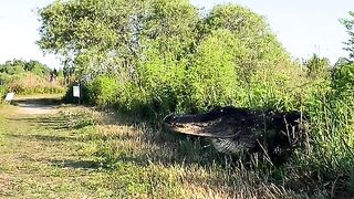 Big crocodile