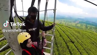 Flying fox
