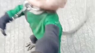 monkey mask