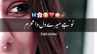 TU Hai Mere Dil Da MahRam