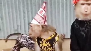 birthday monkey