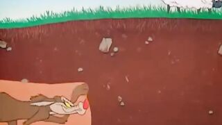 Animation
