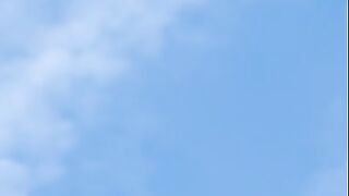 Was in my garden this happened when I started filming