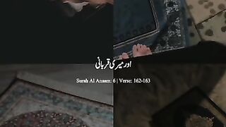 So nice and beautiful lines.