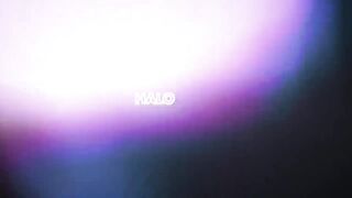 Prezioso x Harris & Ford feat. Shibui - Halo