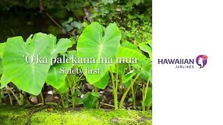 Aloha and Welcome Aboard! Hawaiian Airlines In-Flight Safety Video (2024)