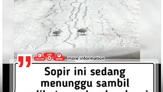 joged dulu baru jalan nyampe nya taon depan