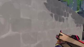 Gecko hunter for clucth