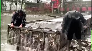 Tile Cutting Tools 2