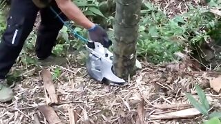 Great machine cut