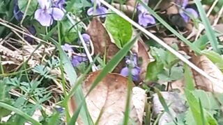 Beautiful nature