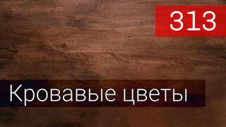Кровавые цветы 313 серия русская озвучка - Kan Çiçekleri