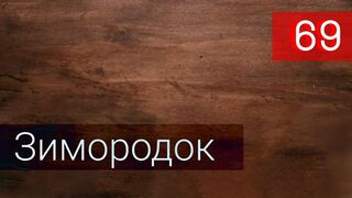 Зимородок 69 серия русская озвучка - Yali Çapkini