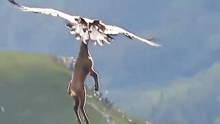 the incredible strength of the eagle