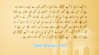 Sahih Bukhari # 62