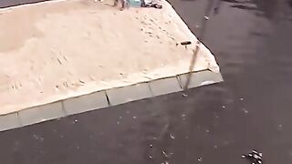Your_New_Favorite_Sport_????????(480p).