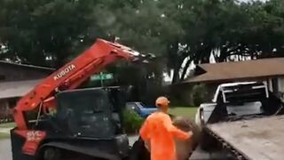 You Can Do It
