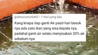 Kalau kejadian seperti ini masih tahap WAJAR
