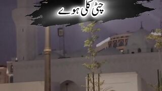 Best video for you