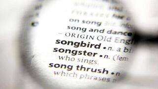 The Songbird's Melody