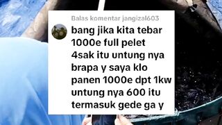 Berapa KEUNTUNGAN ternak lele 1000 ekor❓ Ternyata segini keuntungan yang aslinya