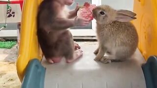 Nice friend